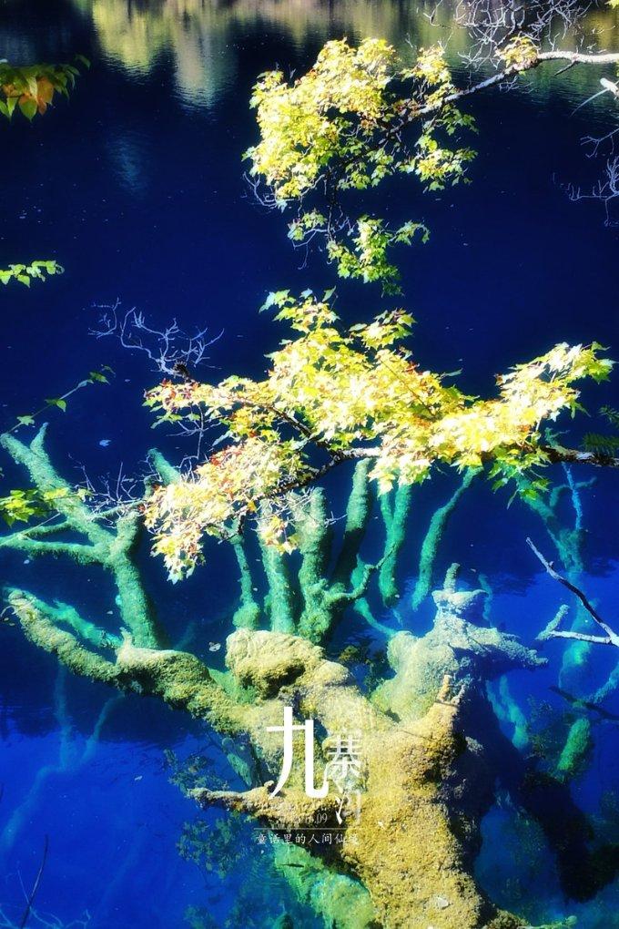 三色变形小怪