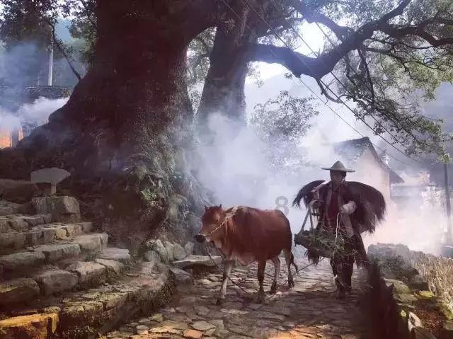 复仇之路无敌版